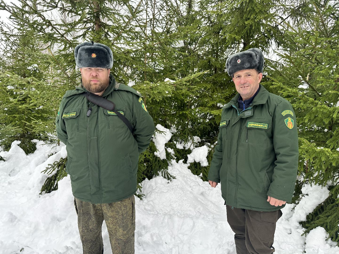 Операция Елочка, Незаконная рубка елок,Наро-Фоминск, вырубка леса,