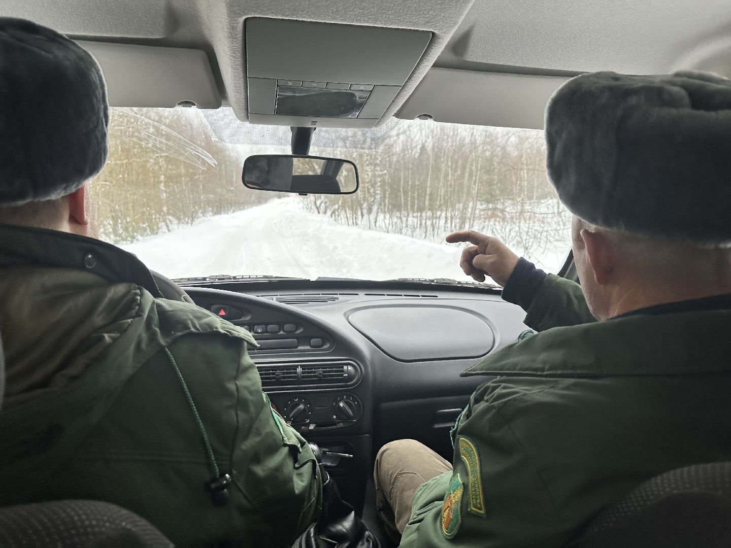 Операция Елочка, Незаконная рубка елок,Наро-Фоминск, вырубка леса,