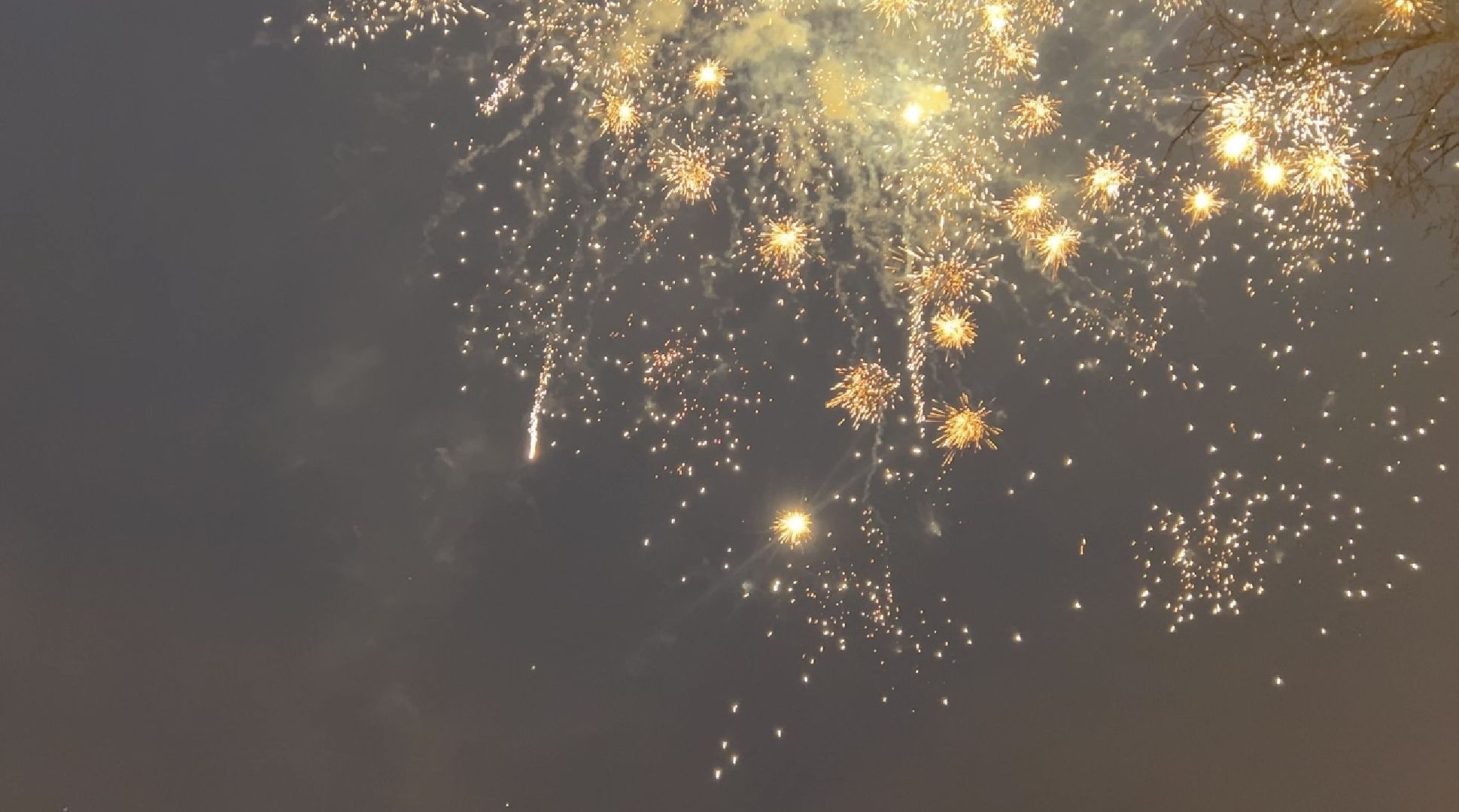 химки, общество, пожарная безопасность, новый год, пиротехника, салют,