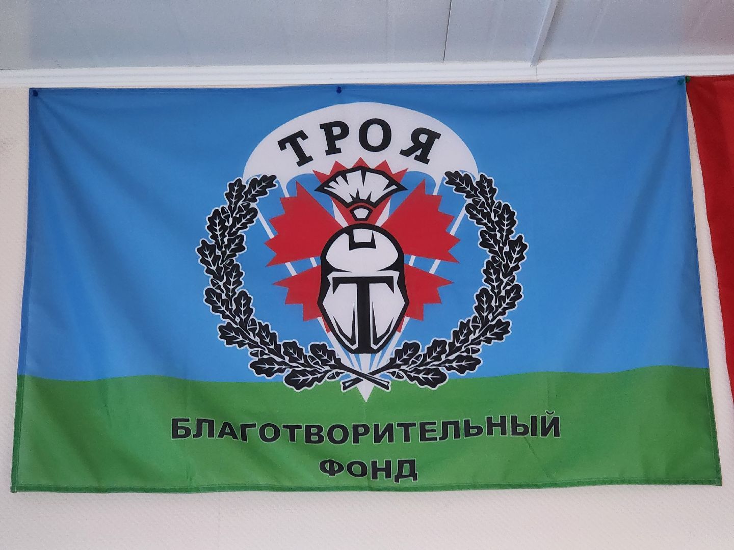 благотворительность, троя, благотворительный фонд, премия губернатора, мы рядом, волонтер, руза, рузский городской округ,