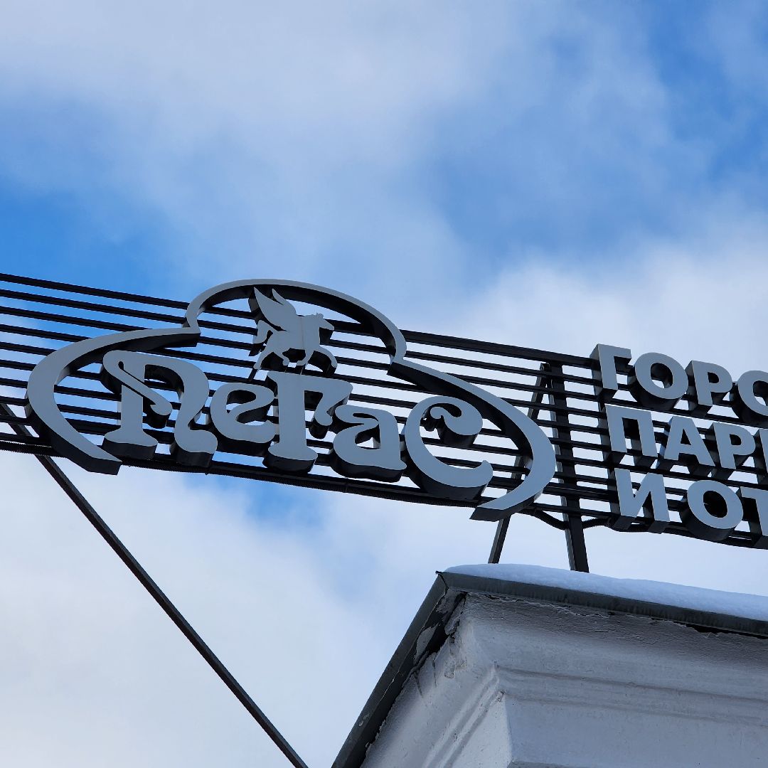 Егорьевск, Парк, Пусть зима останется с тобой, Дед Мороз рекомендует, МосОблПарк, Подмосковье,