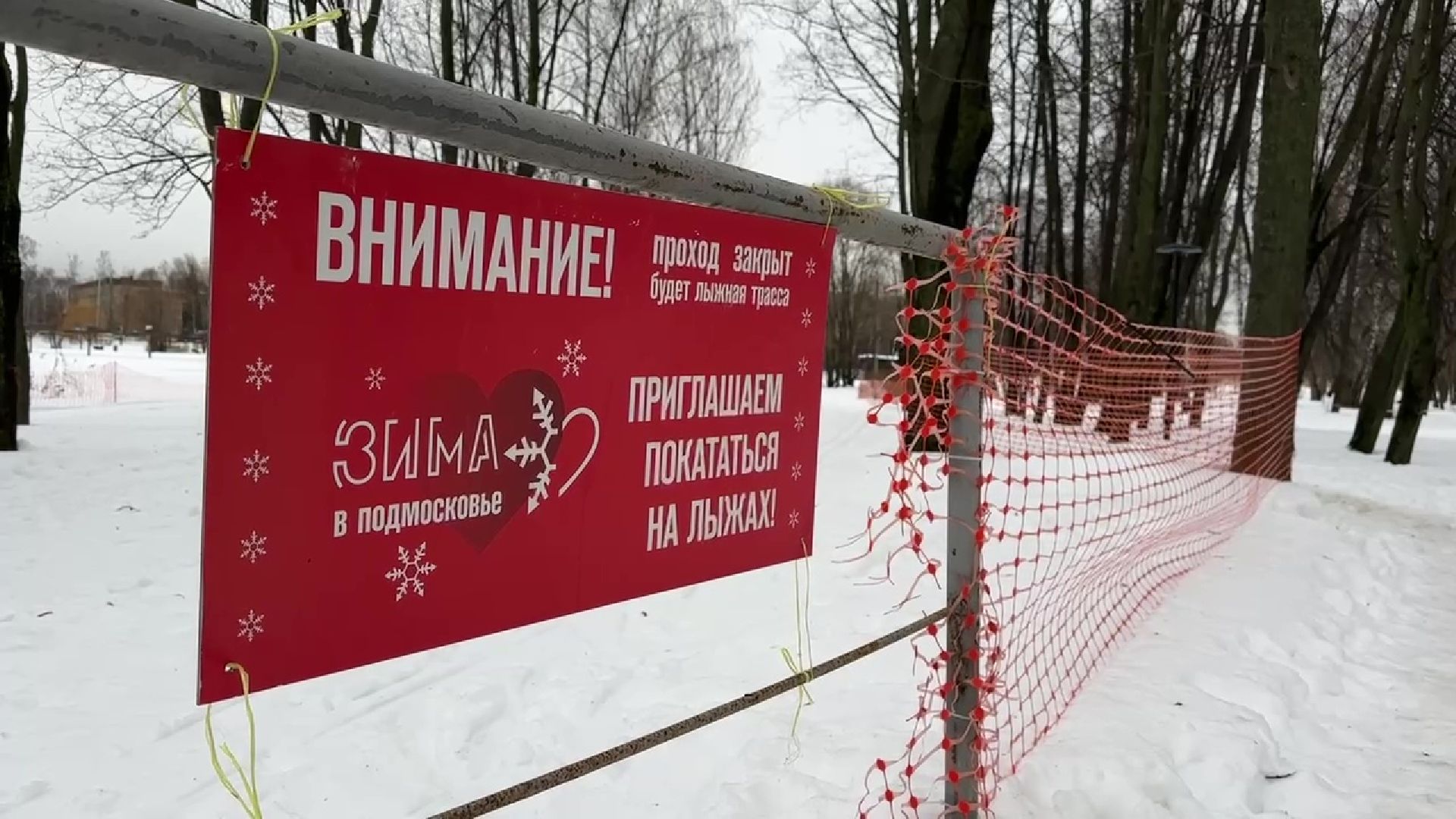 Реутов, парк, Фабричный пруд, спорт, лыжи, трасса, Людмила Колобанова,