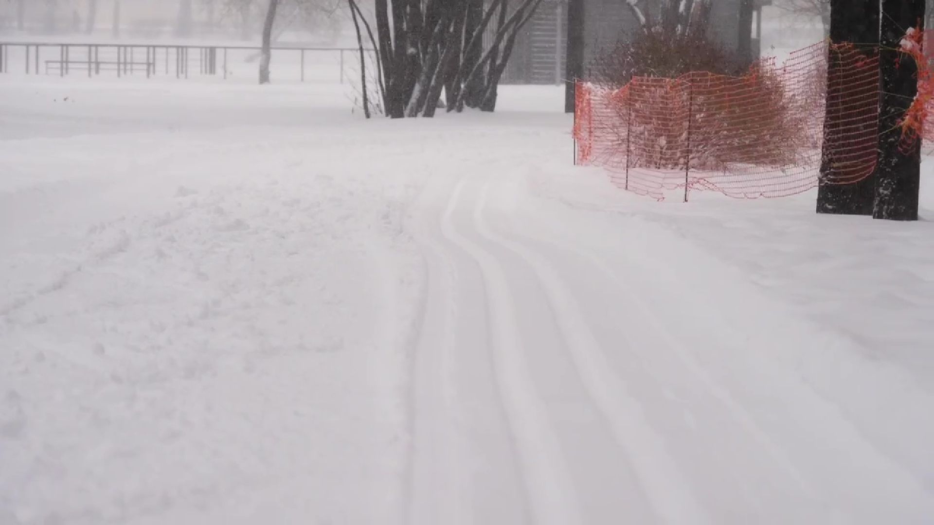 Реутов, парк, Фабричный пруд, спорт, лыжи, трасса, Людмила Колобанова,