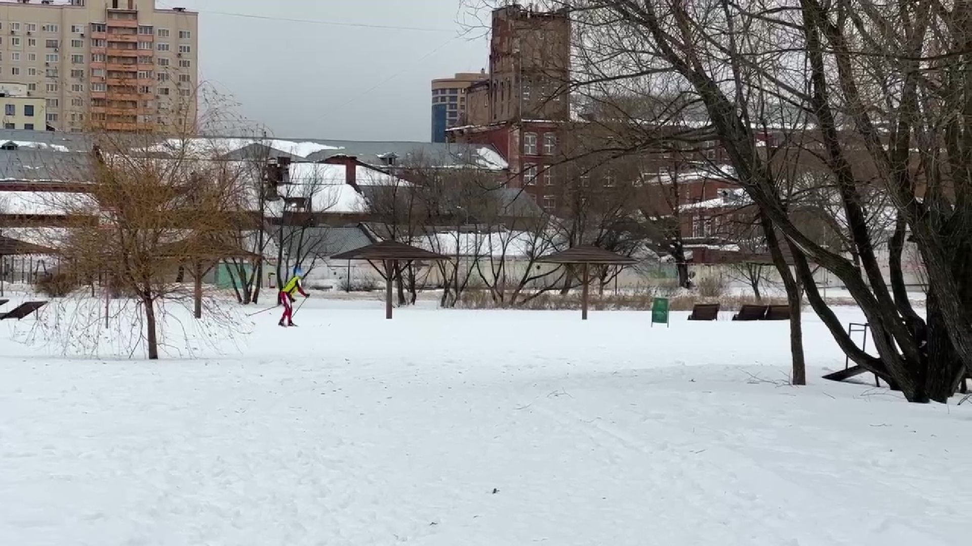 Реутов, парк, Фабричный пруд, спорт, лыжи, трасса, Людмила Колобанова,