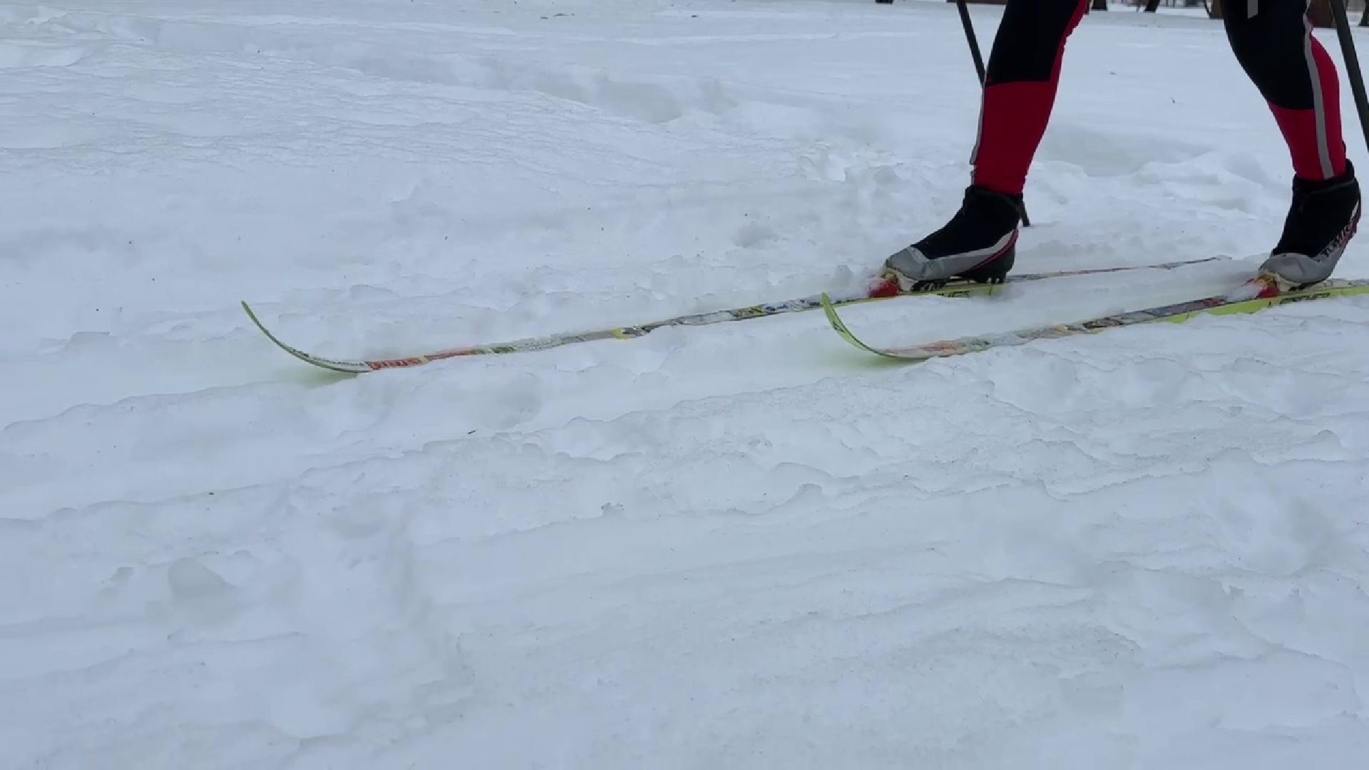 Реутов, парк, Фабричный пруд, спорт, лыжи, трасса, Людмила Колобанова,