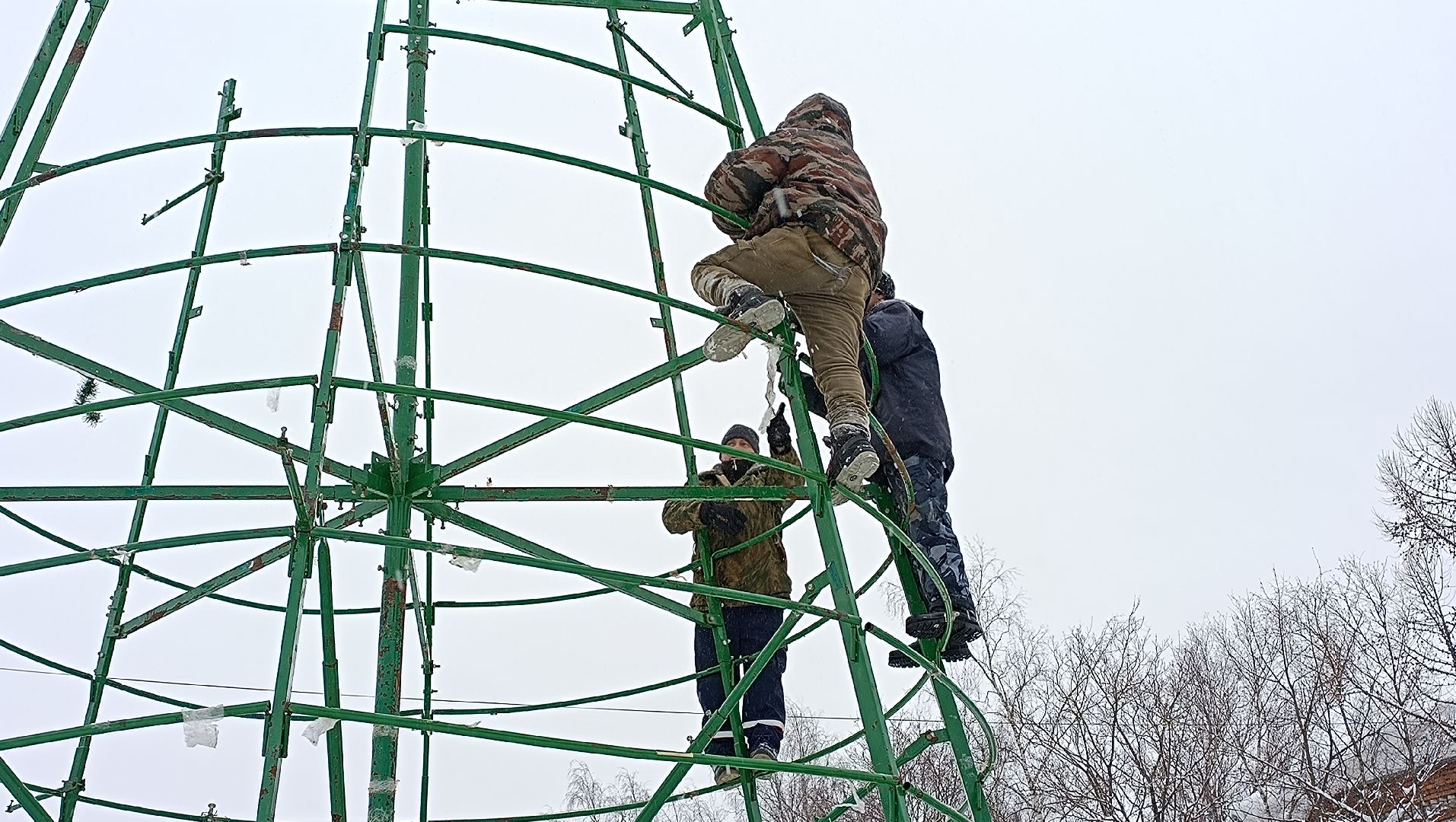 ёлка, новый год, лобня,