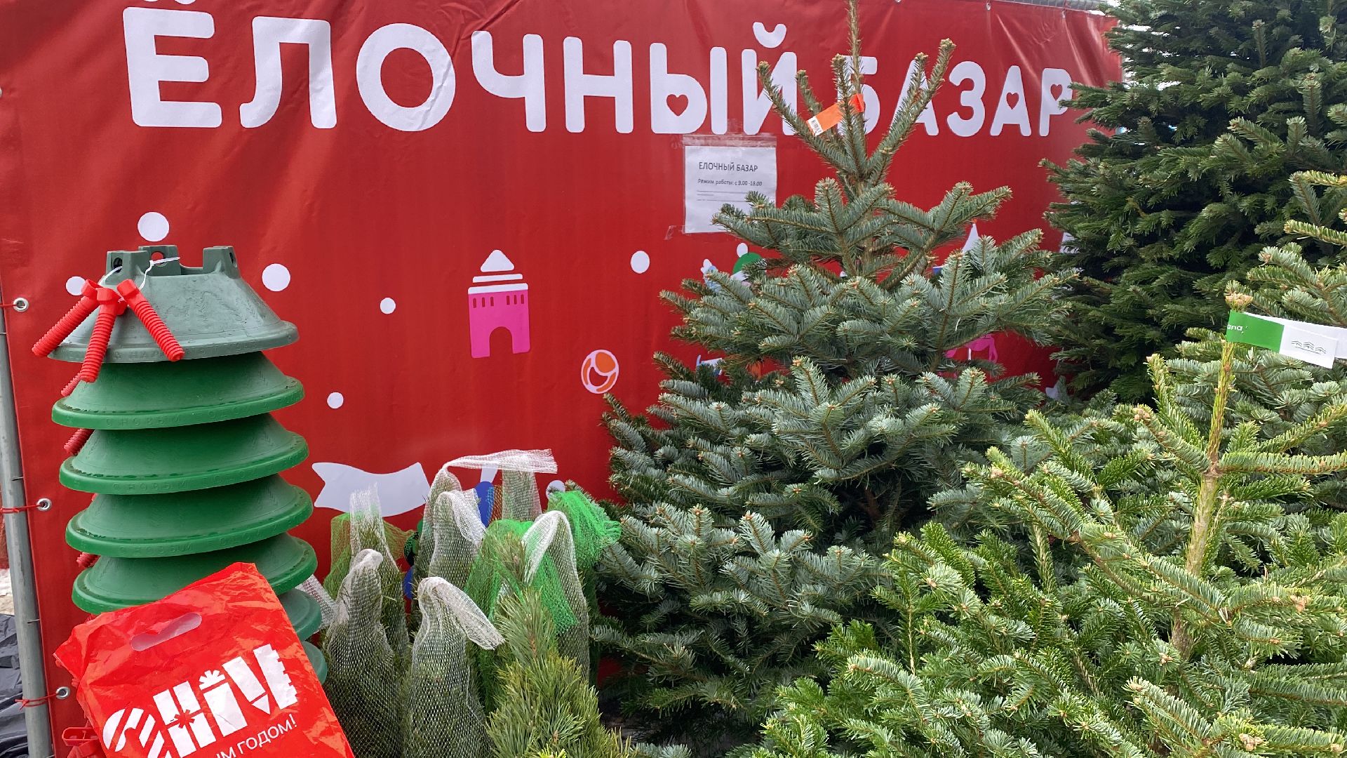 волоколамск, ёлка, елки, елочный базар, зима в подмосковье, сосны, пихты,