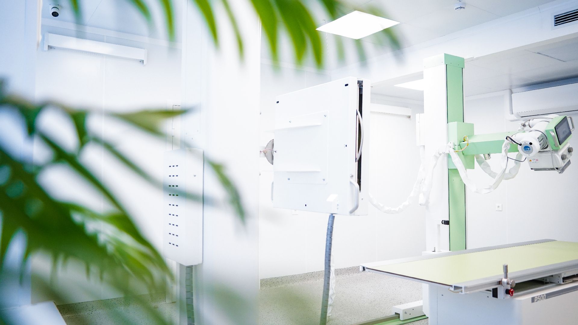 рошаль, рентген-кабинет, рошальский стационар, шатурская больница,