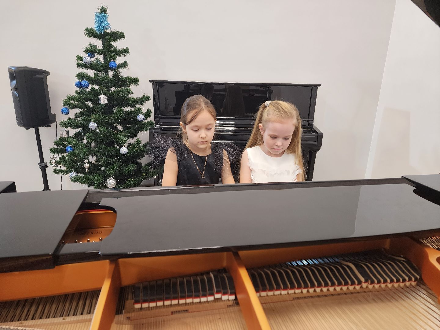воскресенск, музыкальная школа, новые инструменты, фортепиано, дети, творческий коллектив, образование,