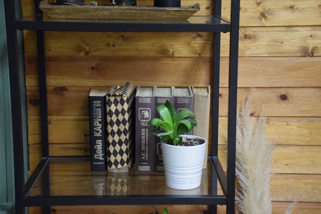 Павловский Посад, городской округ Павловский Посад, модельная школа, Studio 19.25, Ольга Валяева, Алина Коняева, бизнес