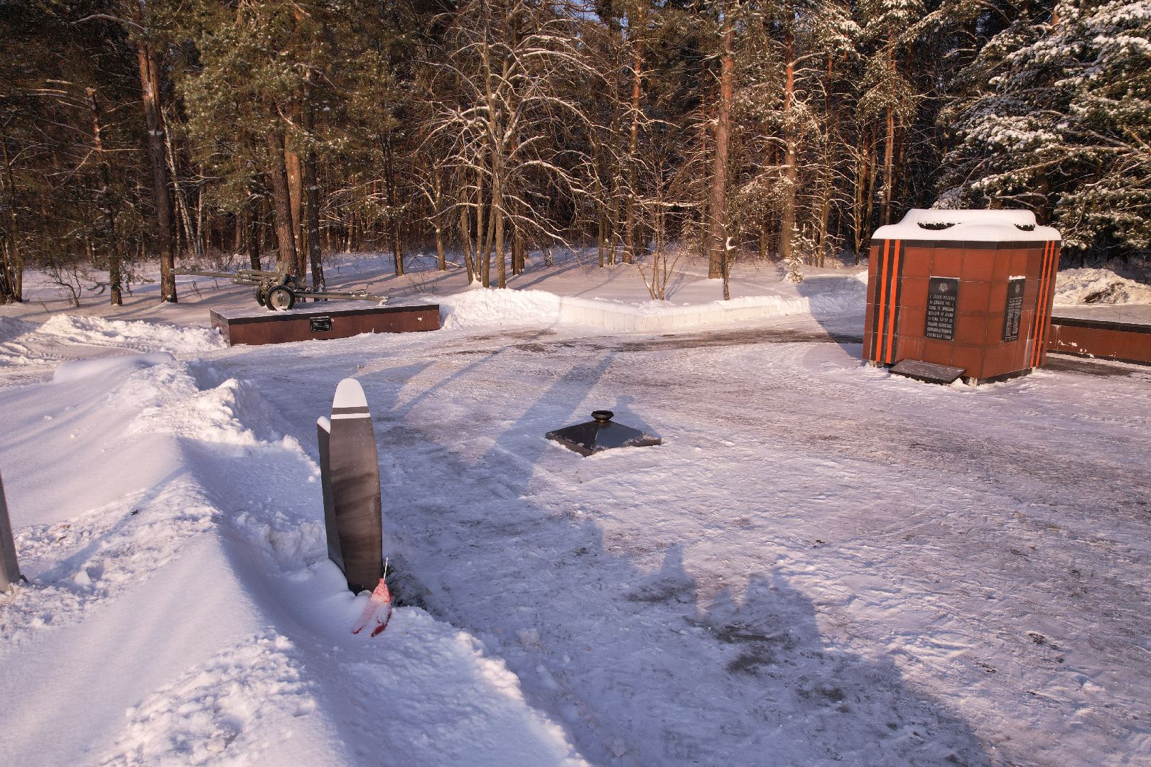 видео с коптера,