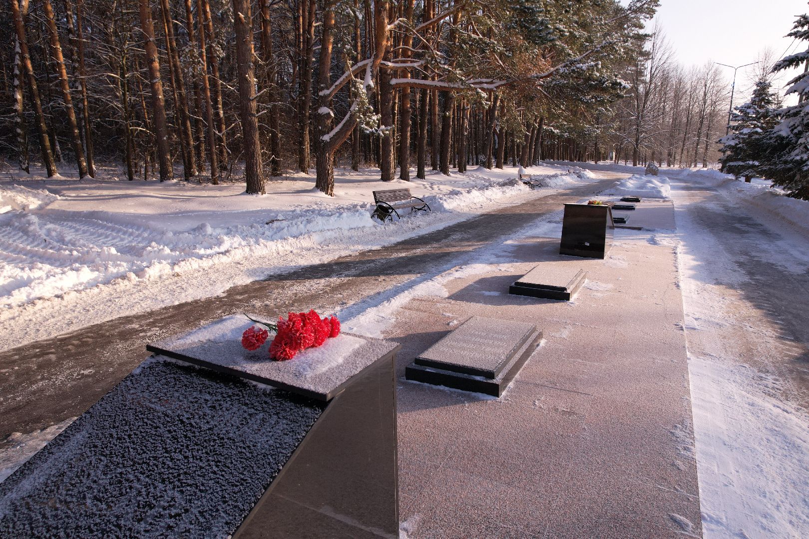 видео с коптера,