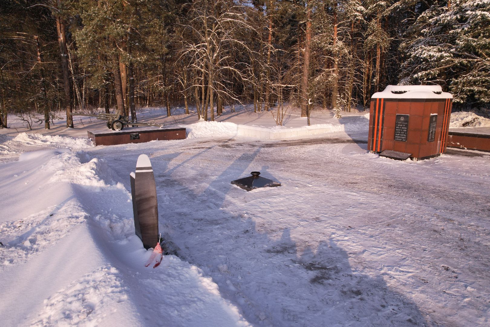 видео с коптера,