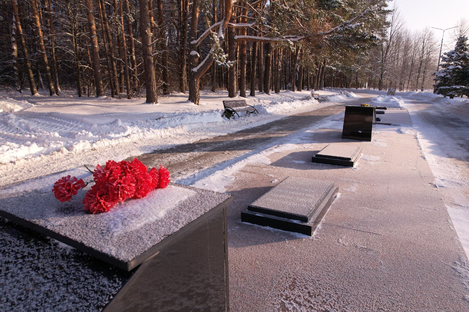 видео с коптера,