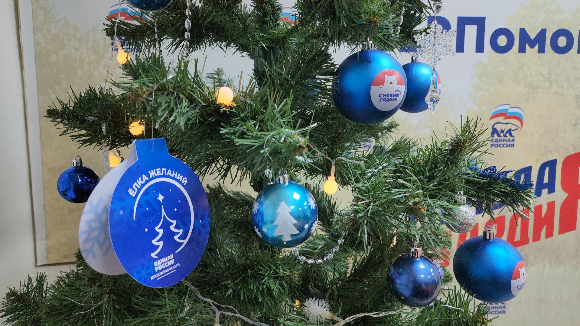 Пушкино, своих не бросаем, Помощь, Елка желаний, Дети, Общество,