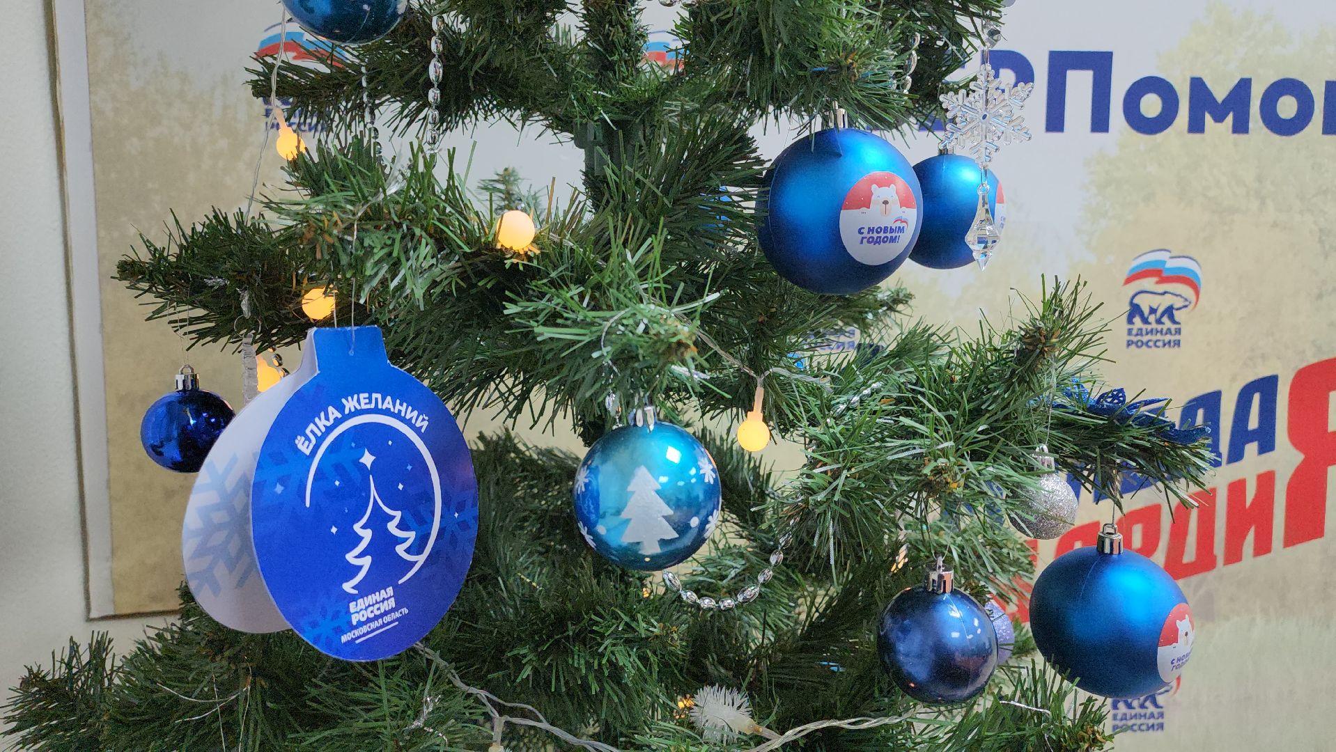 Пушкино, своих не бросаем, Помощь, Елка желаний, Дети, Общество,