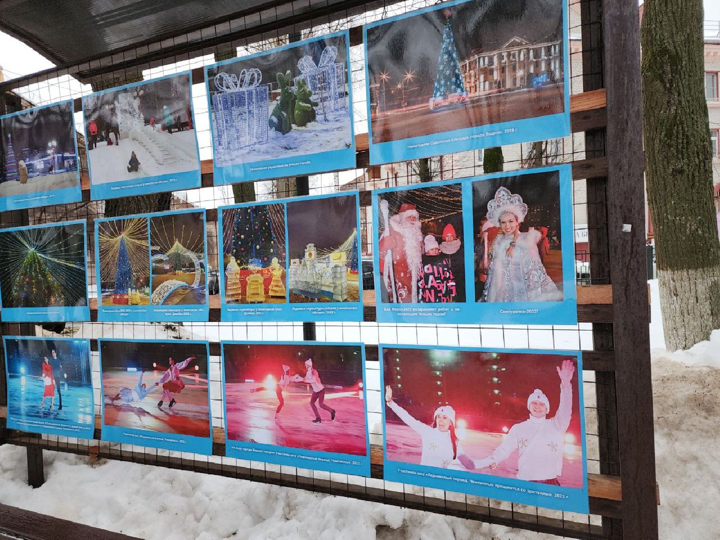 выставка, новый год, архив, история округа, видное,