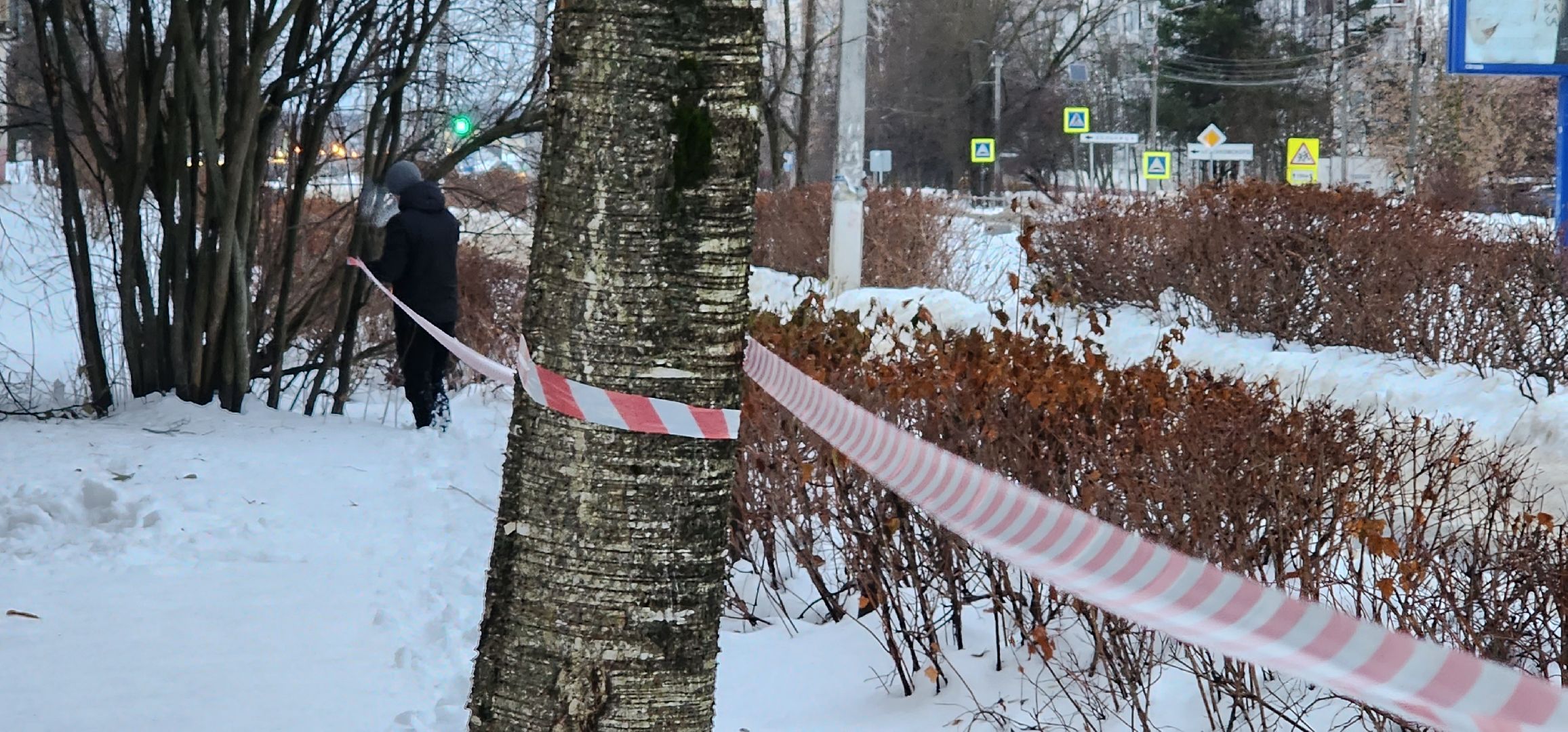 сосульки на крышах, протечка крыш, промышленные альпинисты, Домодедово Жилсервис,