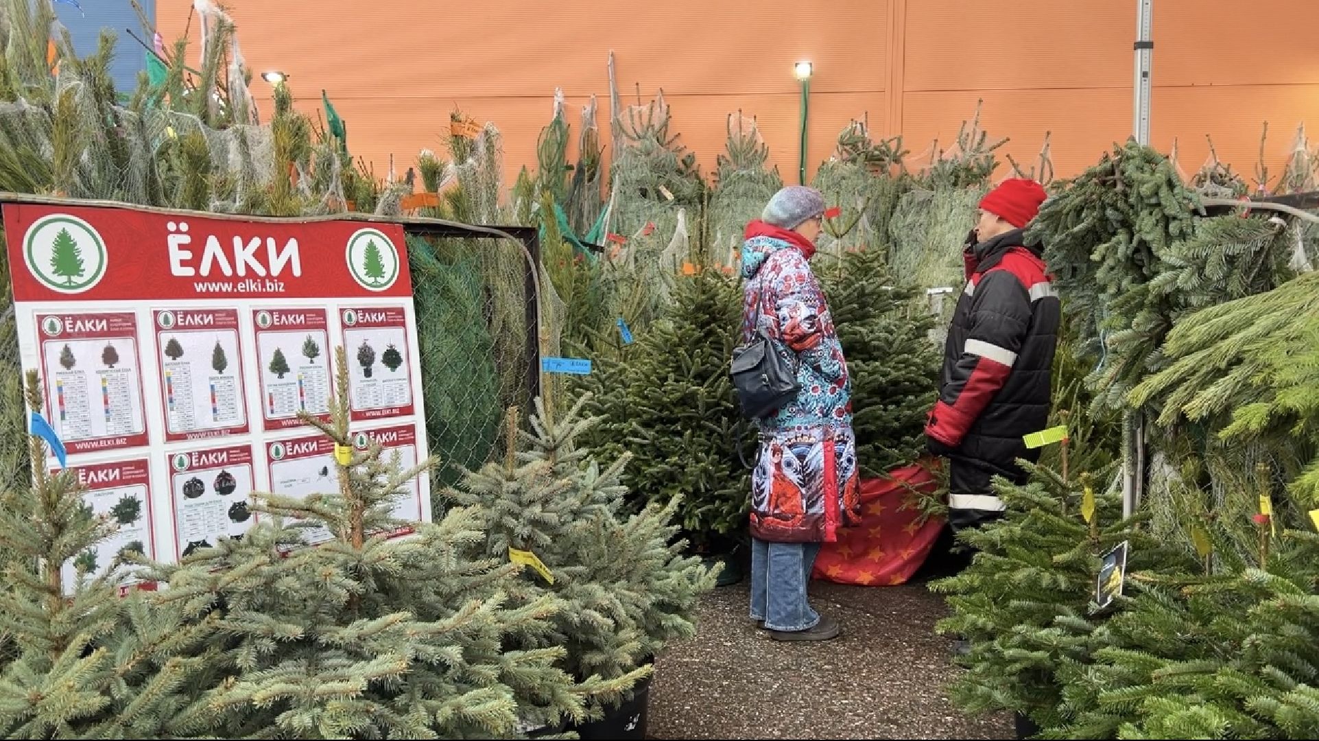 химки, новый год, ёлка, елочный базар, общество,