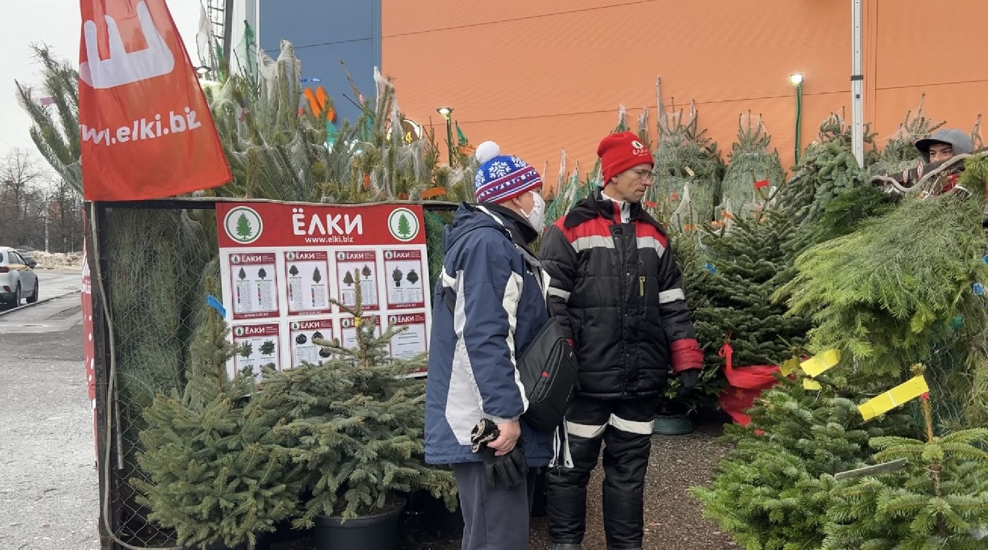 химки, новый год, ёлка, елочный базар, общество,