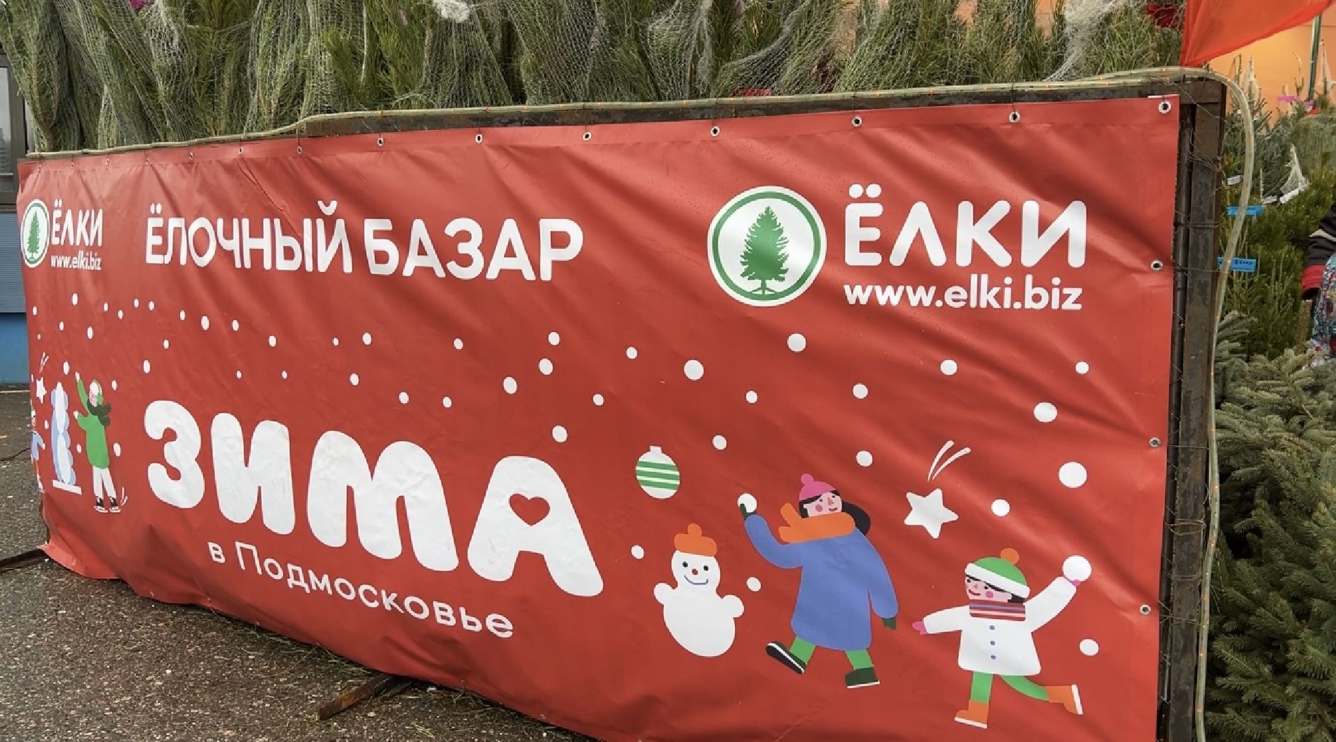 химки, новый год, ёлка, елочный базар, общество,