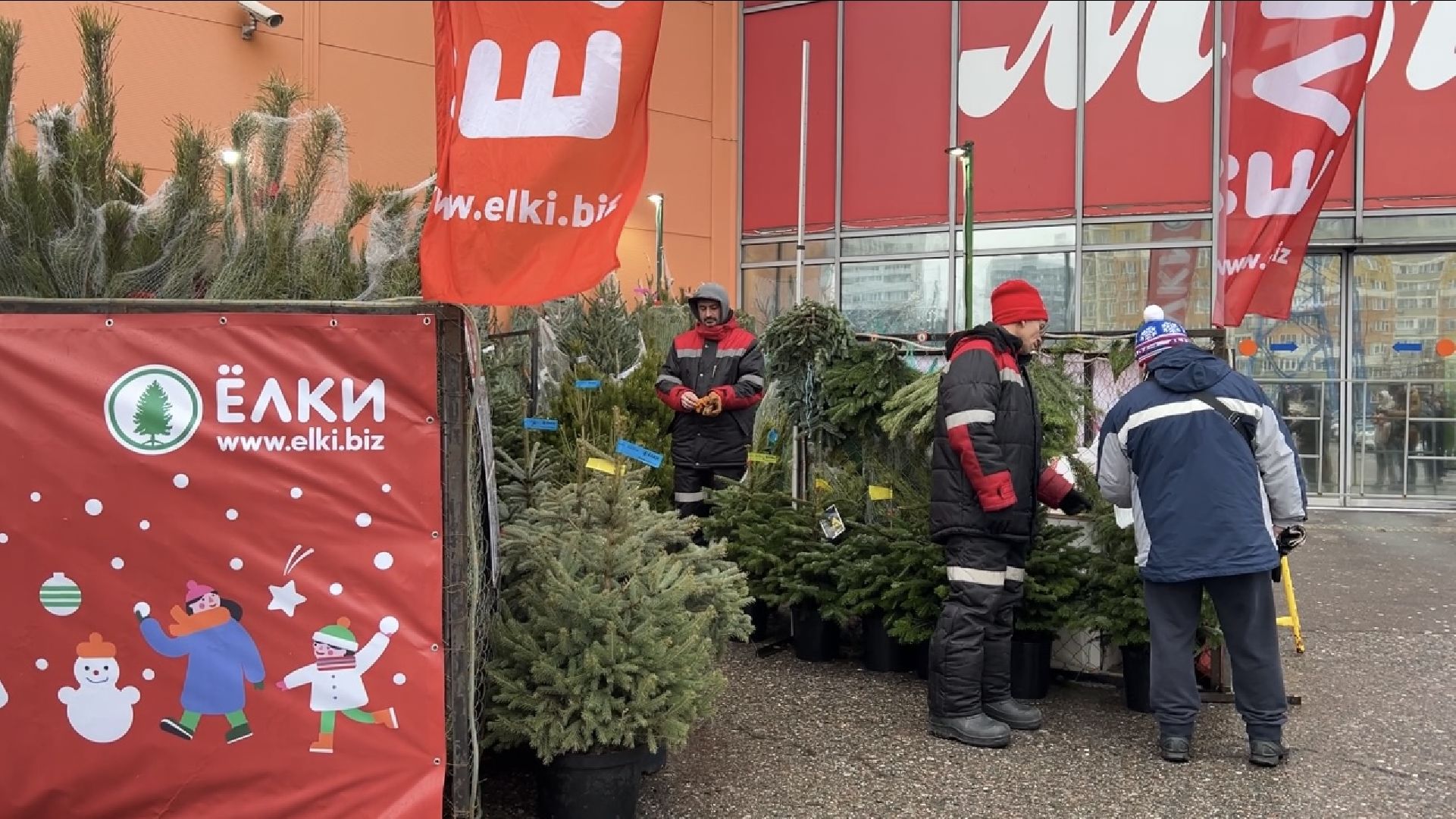 химки, новый год, ёлка, елочный базар, общество,