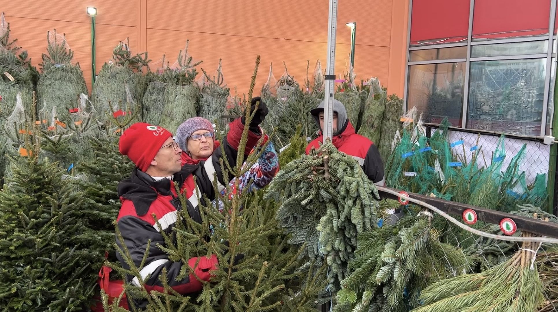 химки, новый год, ёлка, елочный базар, общество,