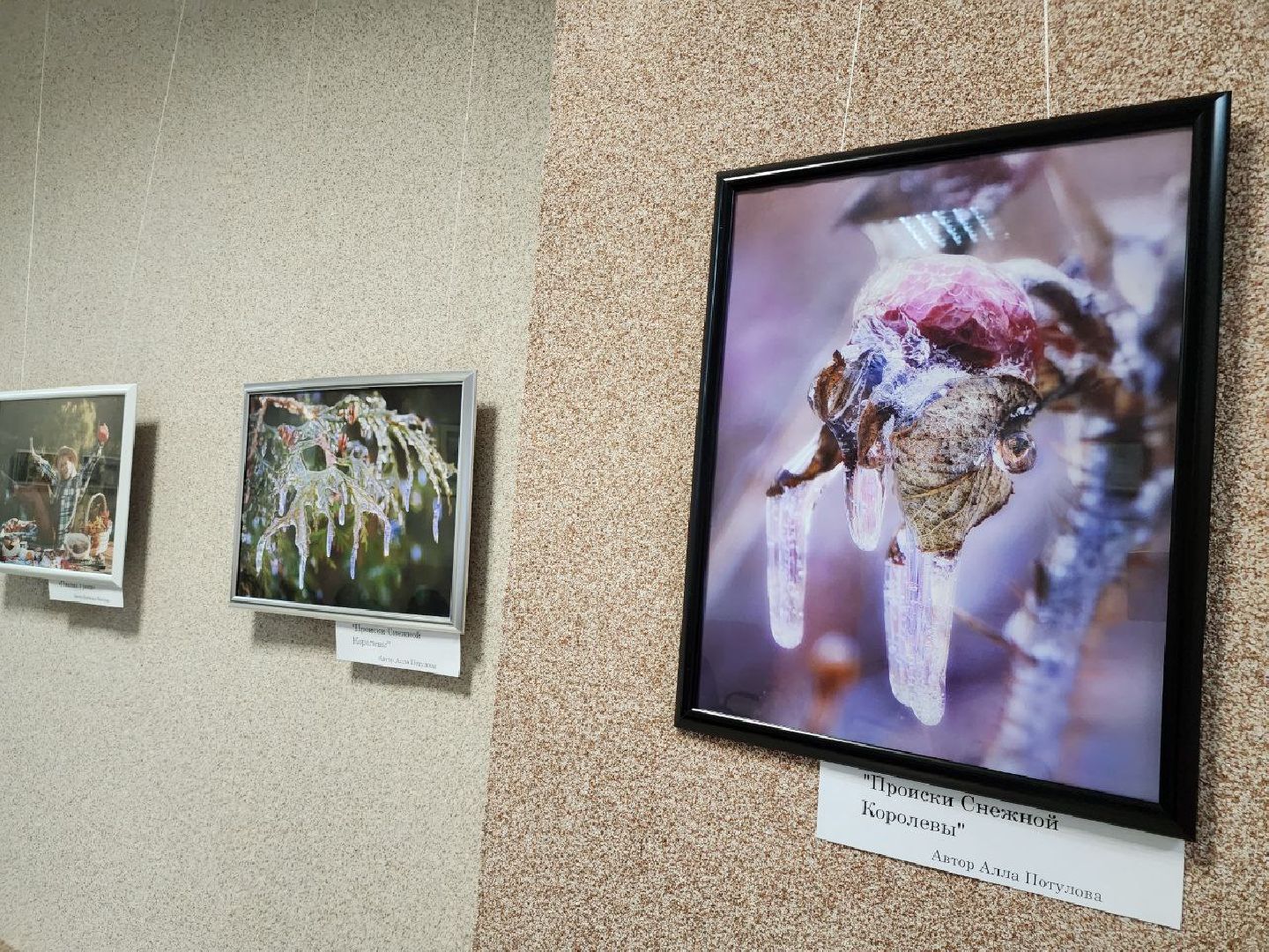 Серебряные Пруды, фотовыставка, Анастасия Богатова, Культурный центр Наследие,
