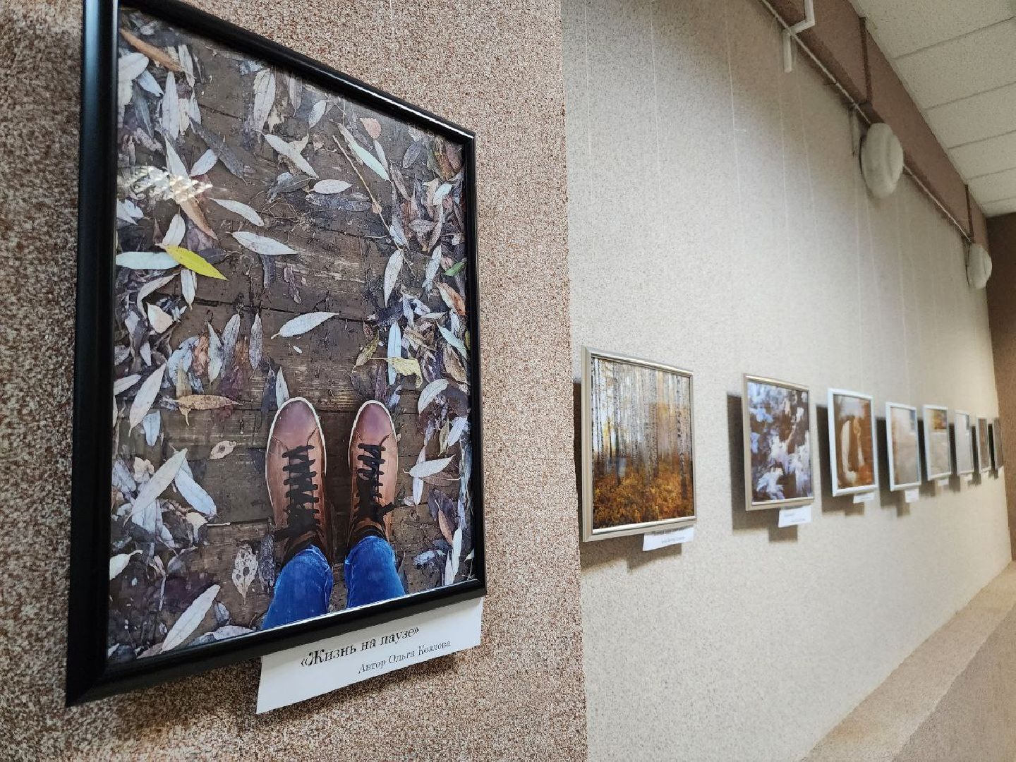 Серебряные Пруды, фотовыставка, Анастасия Богатова, Культурный центр Наследие,
