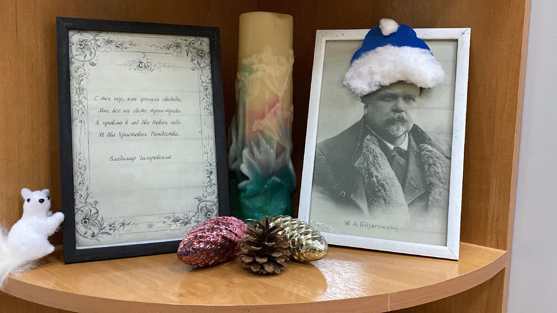 волоколамск, библиотека, фото, фотографии, фотопроект, краеведение, литература, писатели,