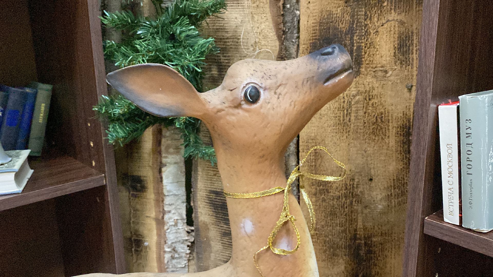 волоколамск, библиотека, фото, фотографии, фотопроект, краеведение, литература, писатели,