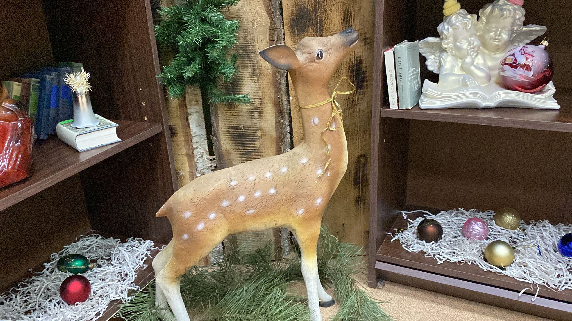 волоколамск, библиотека, фото, фотографии, фотопроект, краеведение, литература, писатели,