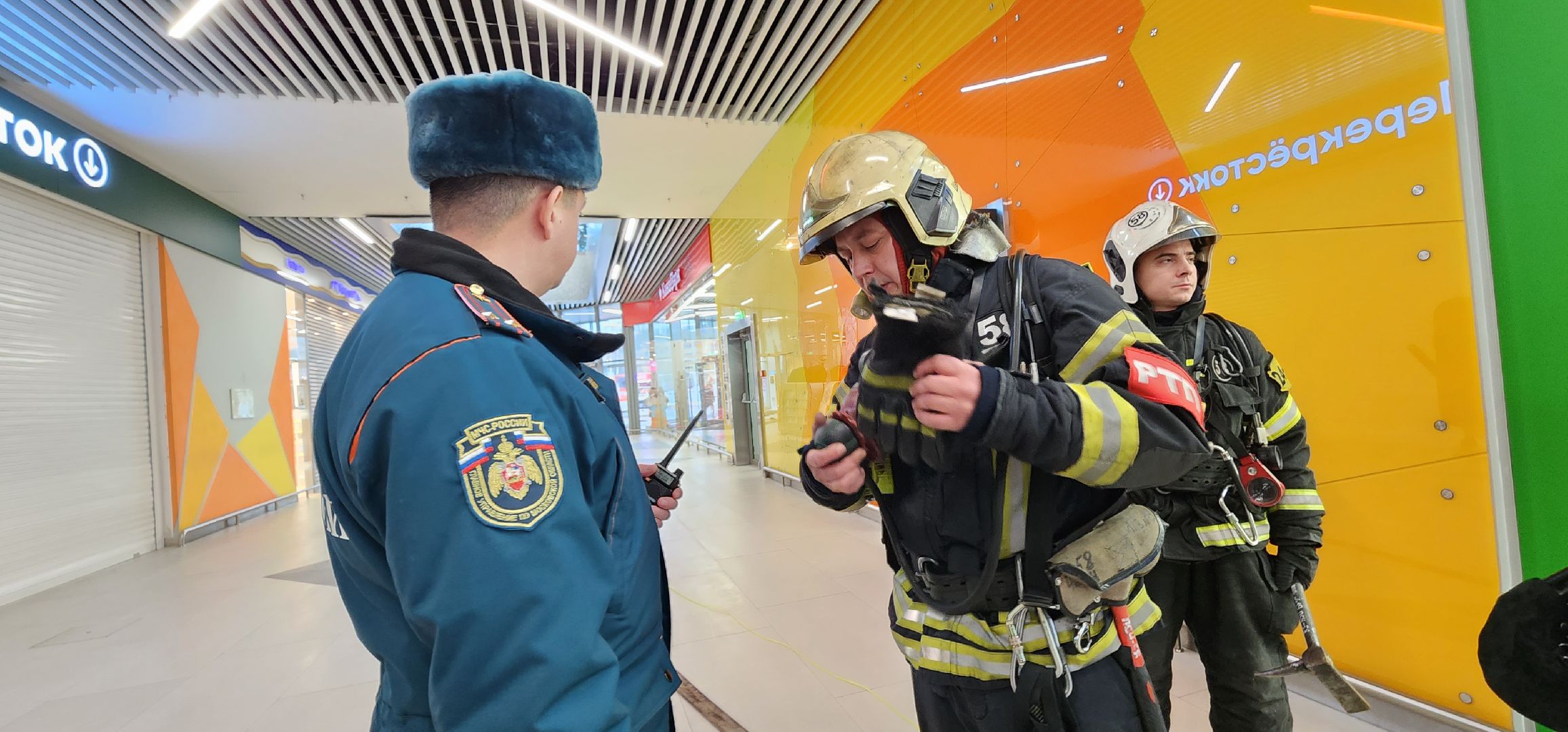 МЧС, учения пожарных, Эвакуация, Домодедово,