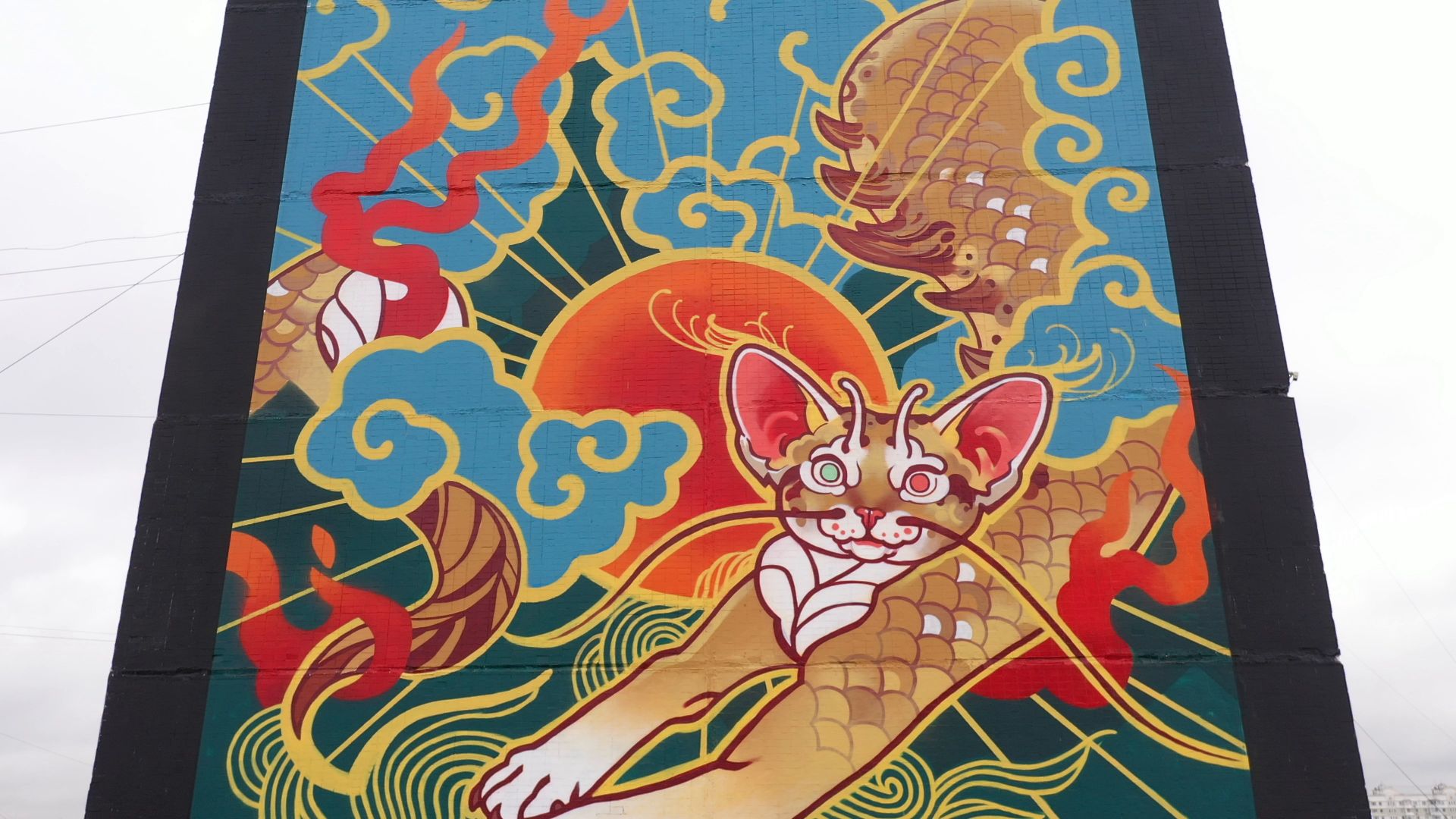 видео с коптера, балашиха,