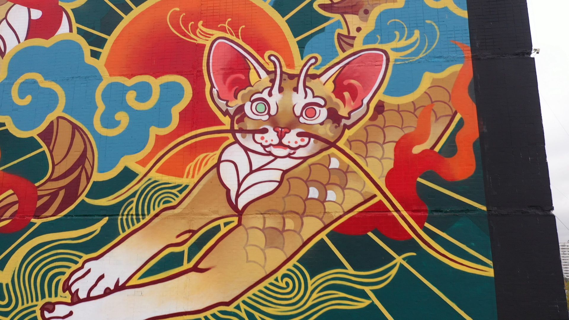 видео с коптера, балашиха,