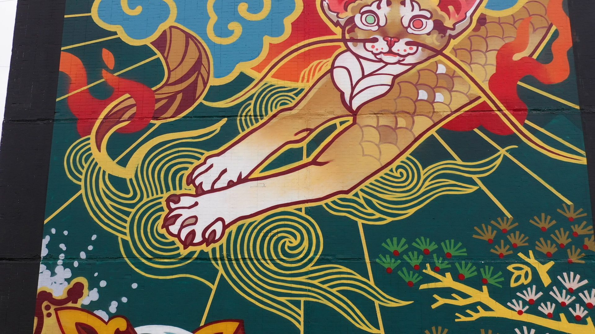 видео с коптера, балашиха,