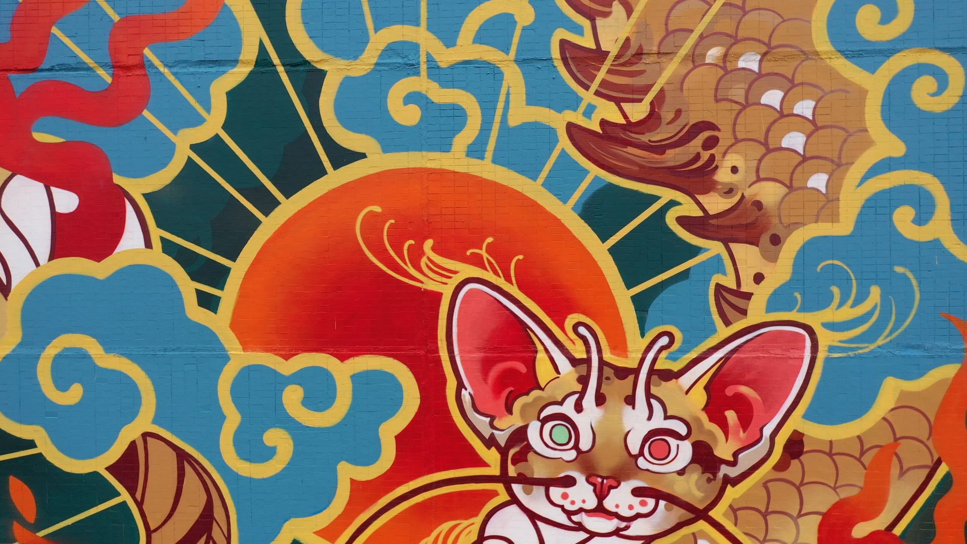 видео с коптера, балашиха,