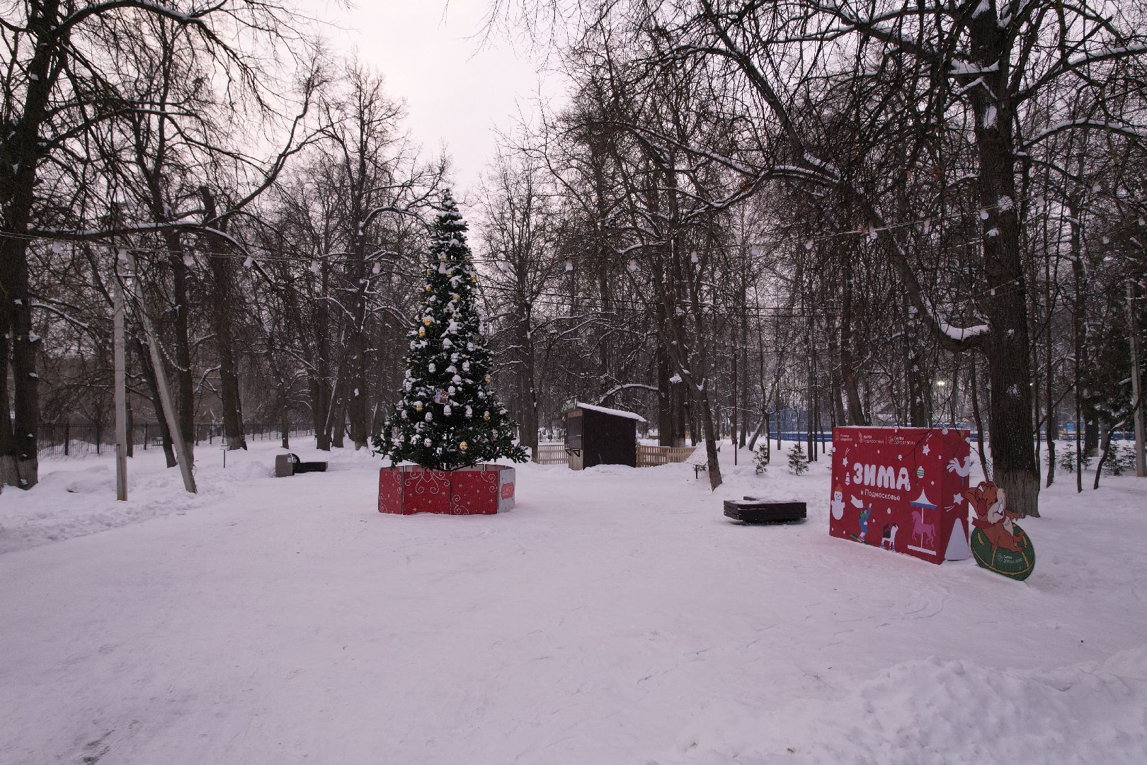 видео с коптера, парк,