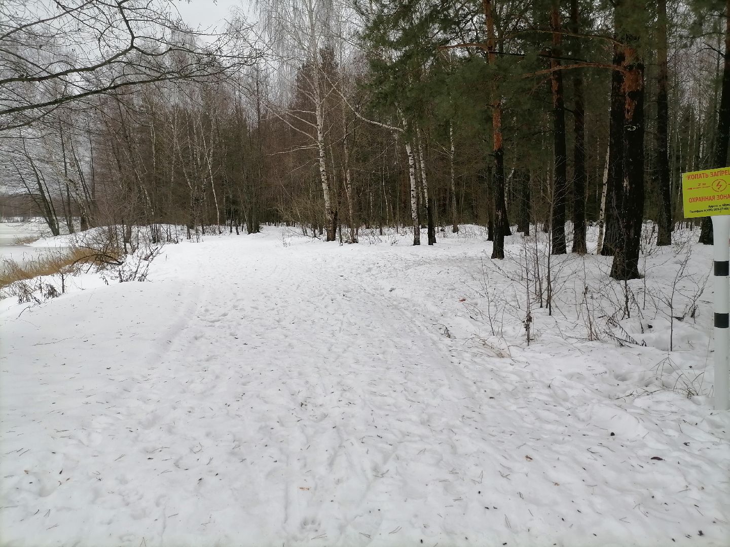 спорт подмосковья, лыжная трасса, снегоход для прокладки лыжной трассы,