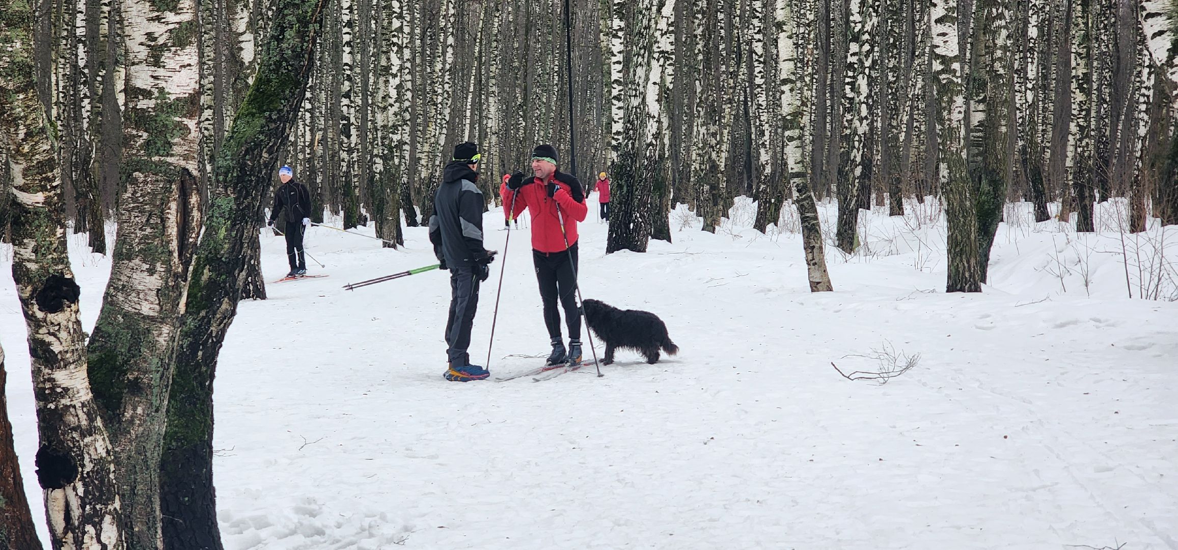 лыжный мастер-класс, Александр Легков, Домодедово,