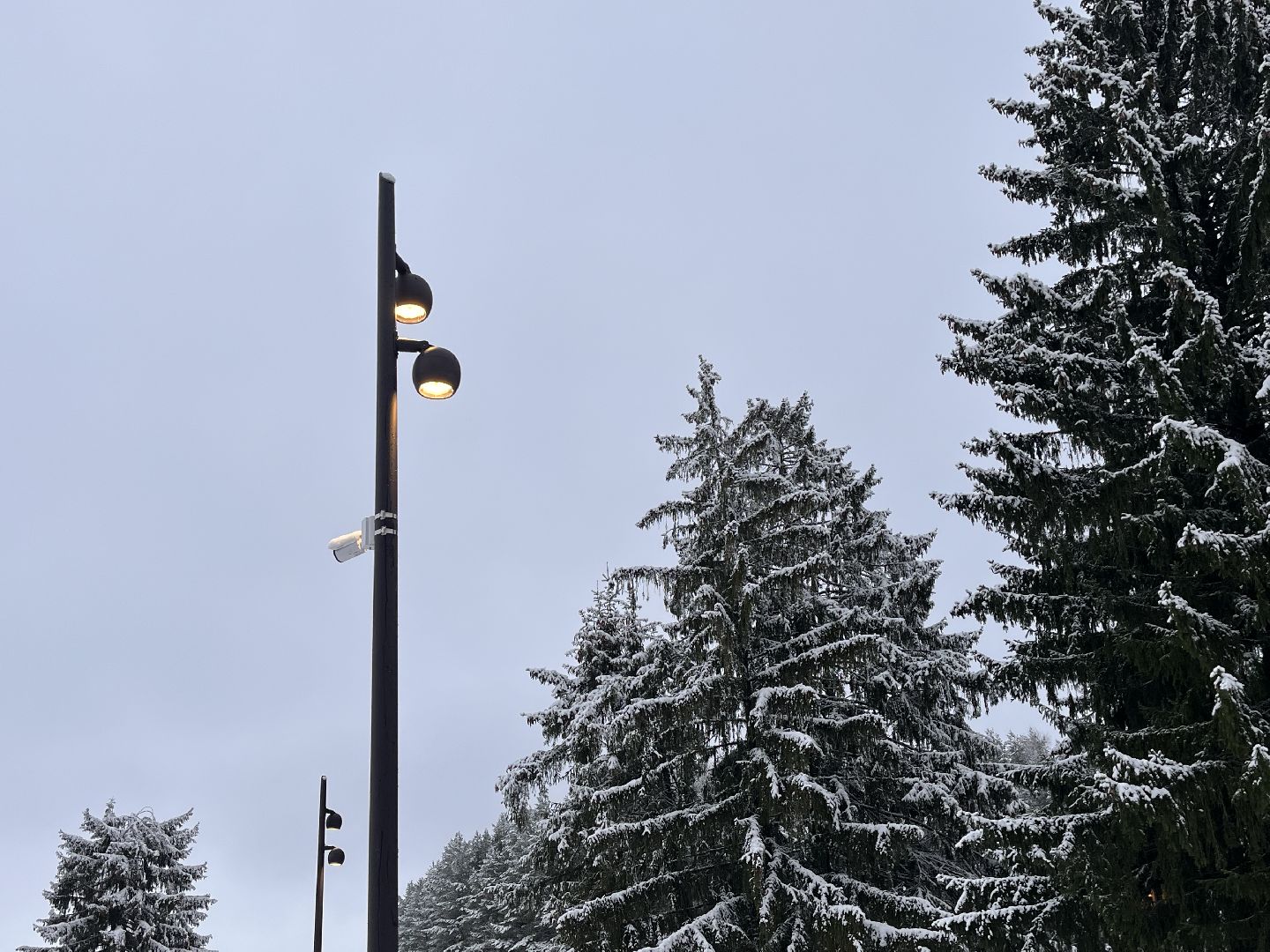 Шаховская, плотина, благоустойство,