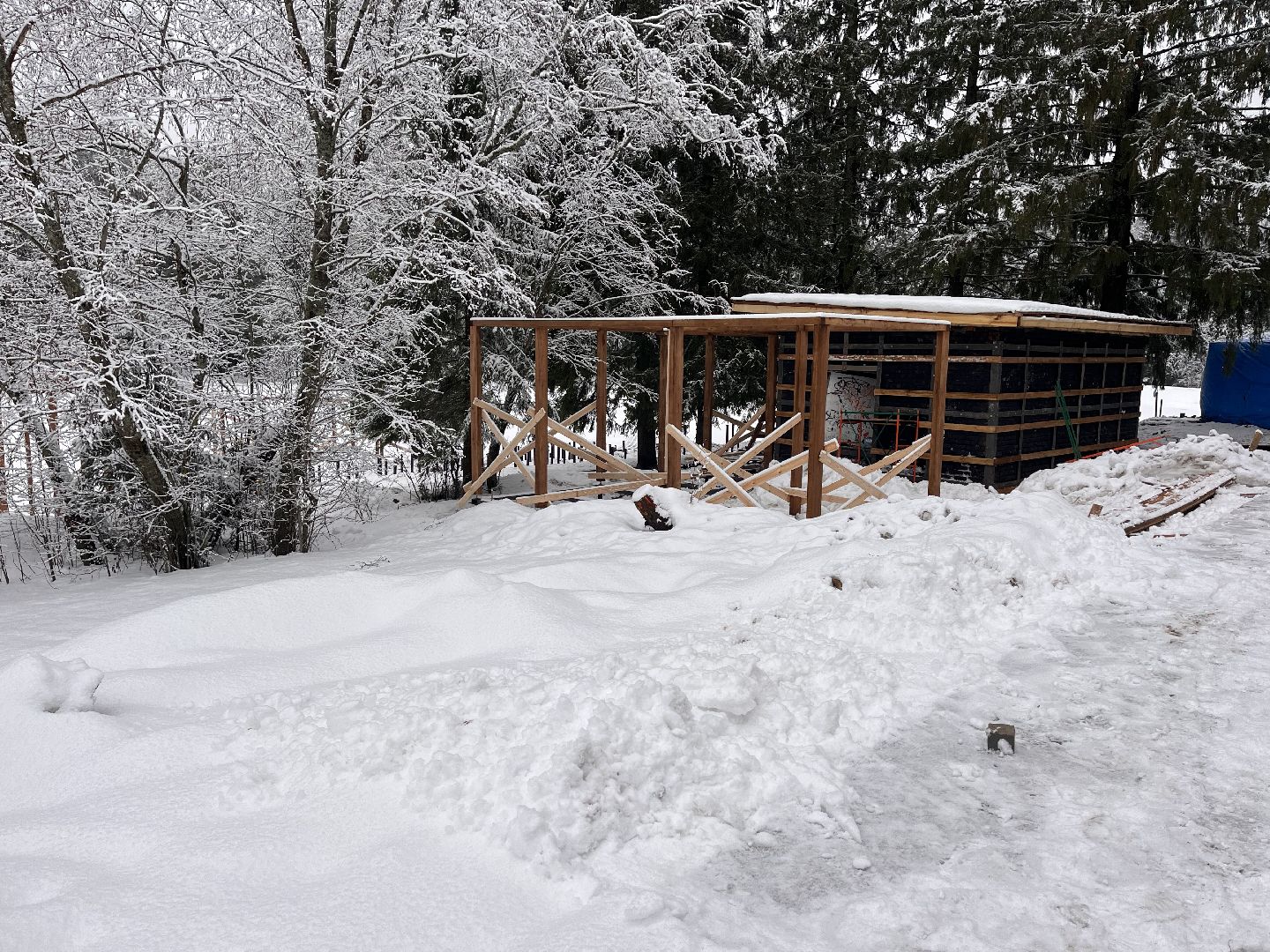 Шаховская, плотина, благоустойство,