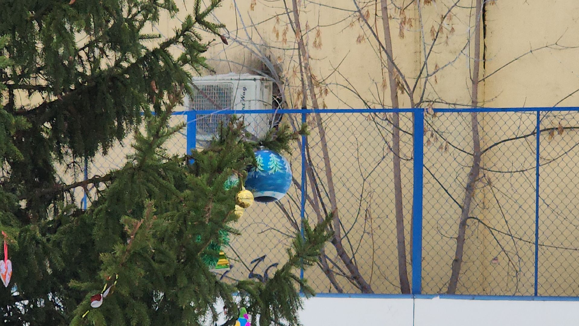 елка, кочующая, Город-сад, Пушкарева, Молоежная, Звездный сквер,