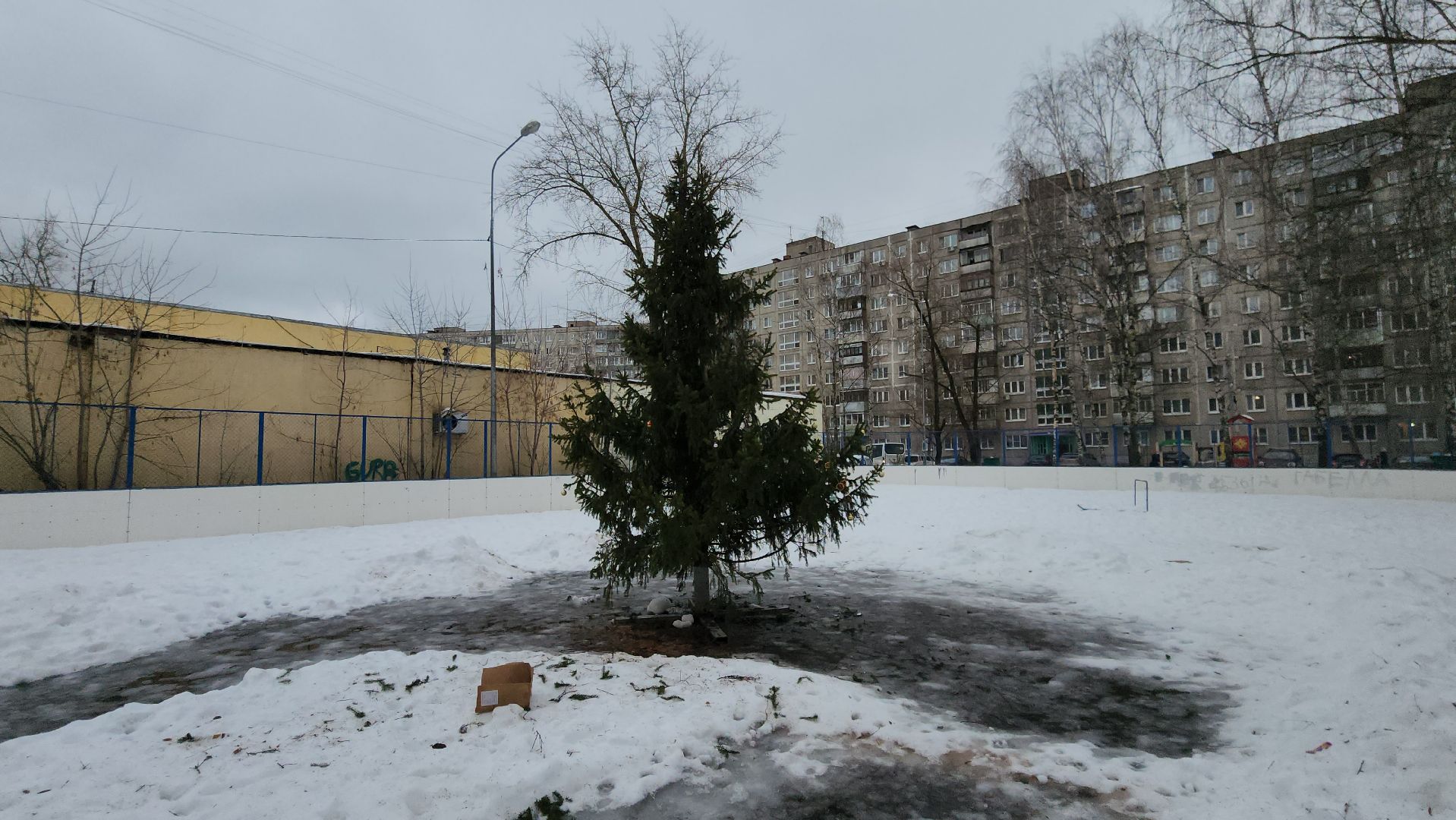елка, кочующая, Город-сад, Пушкарева, Молоежная, Звездный сквер,