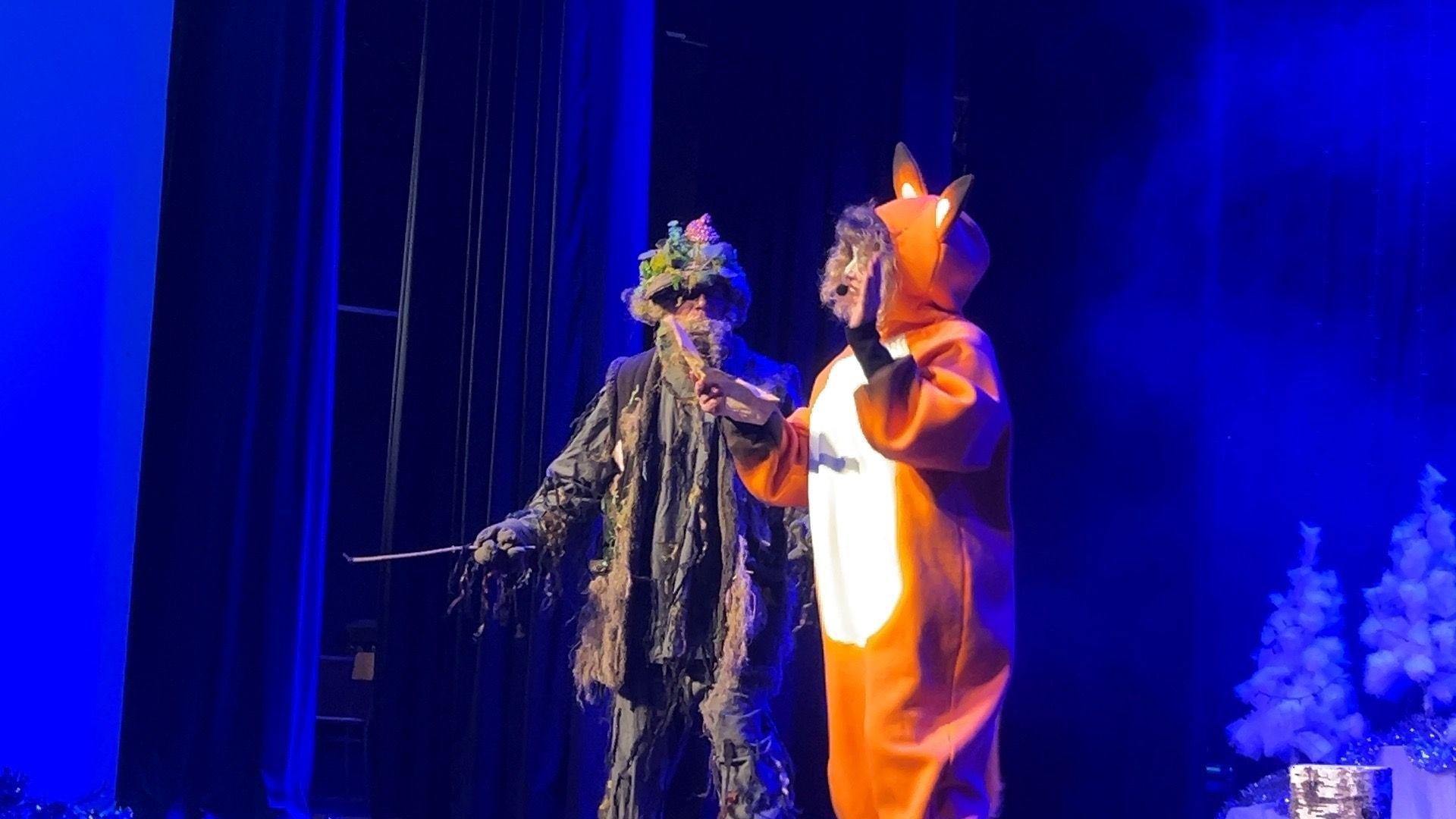 Солнечногорск, Елка, Дети, Спектакль, Новый год,