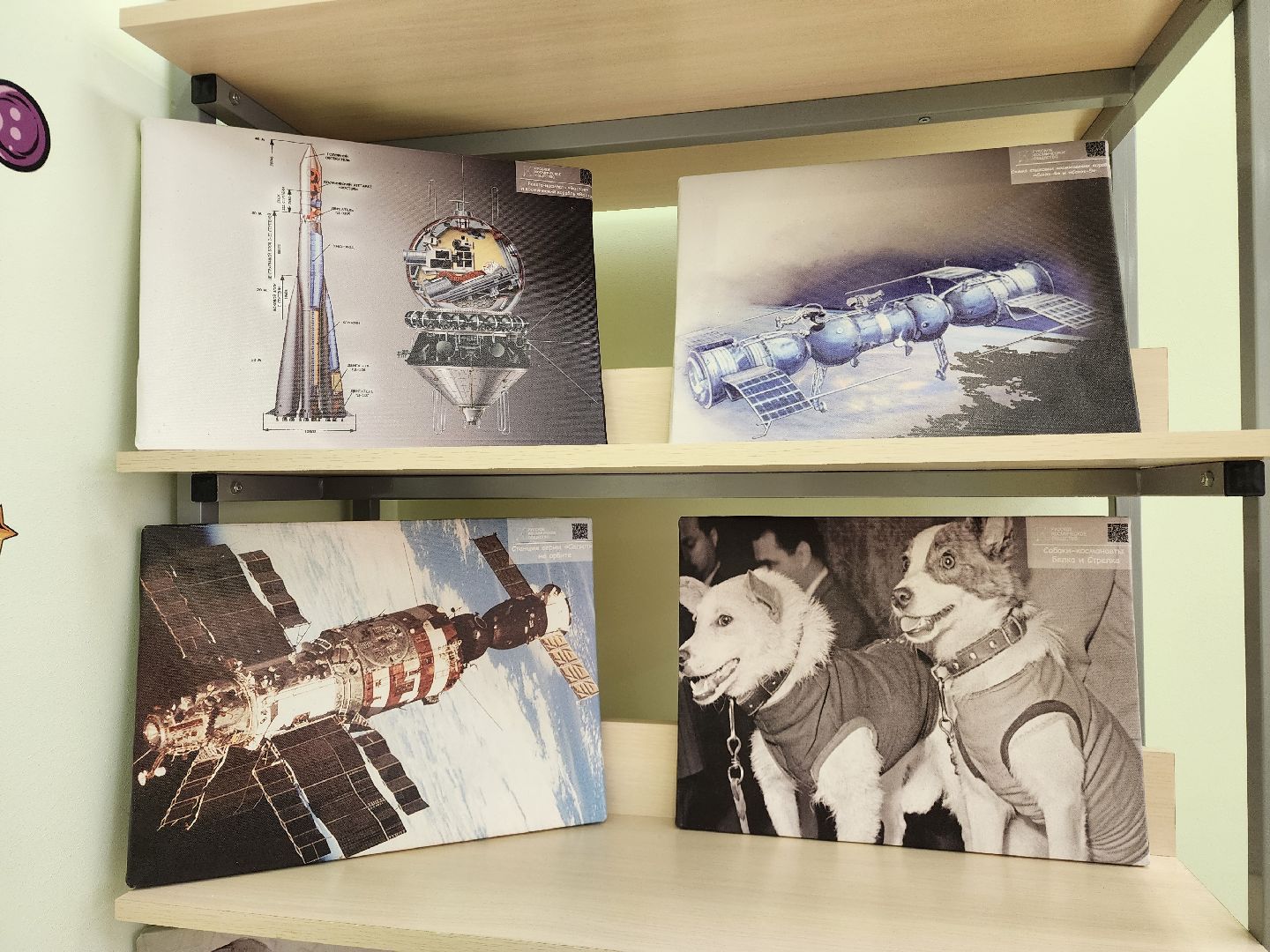 школы, образование, химки, подмосковье,