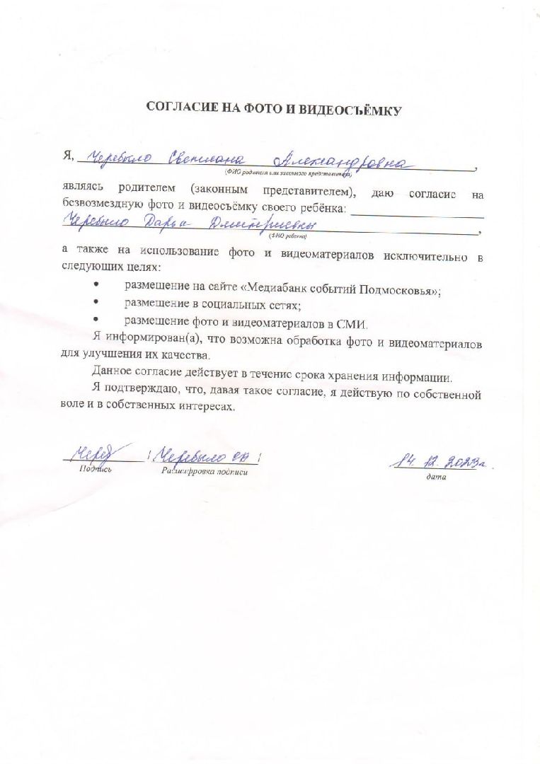 Fly Dance, pole dance sport, шатура, пилон, аэробика,