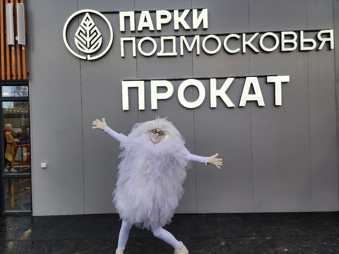 пушкино, каток в парке, дети, лед, артисты,