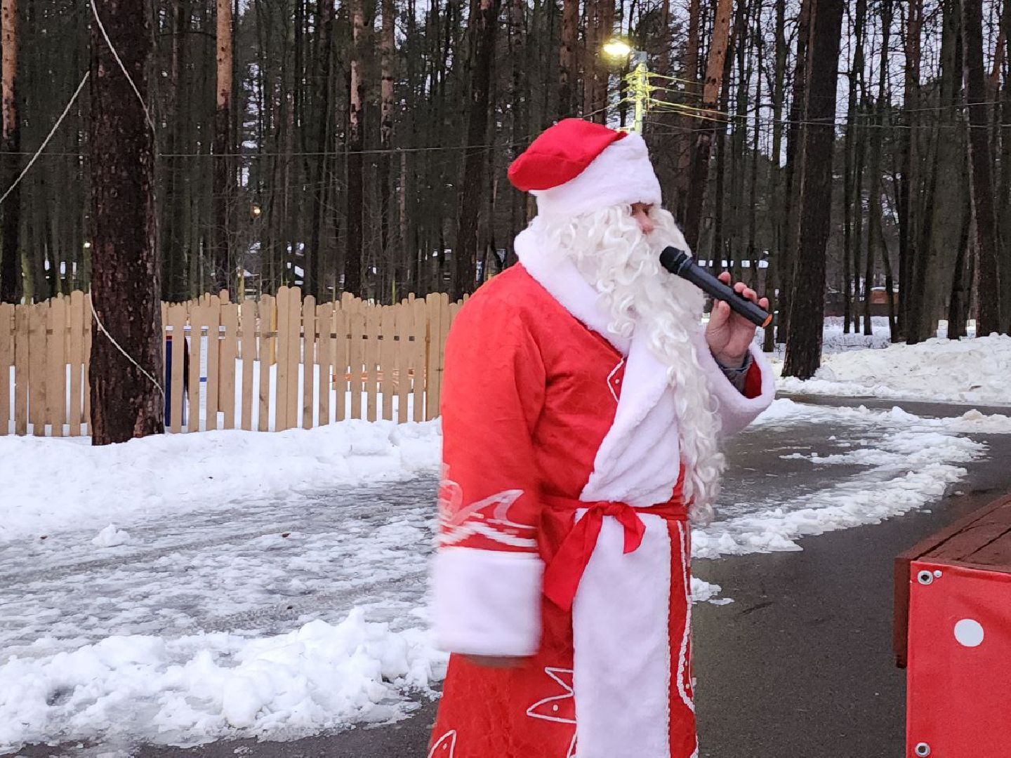 новый год, ретро-вечеринка, дед мороз, 12 месяцев, видное,