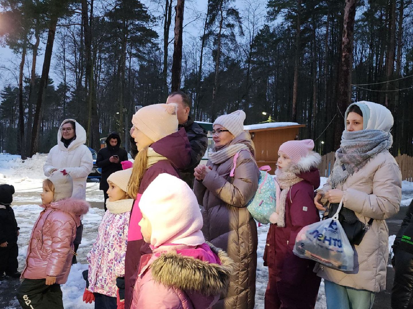 новый год, ретро-вечеринка, дед мороз, 12 месяцев, видное,